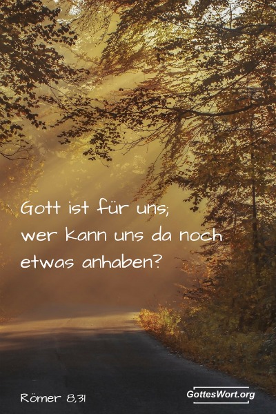Ich danke gott dass ich dich kennenlernen durfte