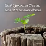 Gehört also jemand zu Christus, dann ist er ein neuer Mensch. Was vorher war, ist vergangen, etwas völlig Neues hat begonnen, 2. Korinther 5,17