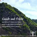 Persönliche Eigenschaften haben Vorteile und Nachteile. Die Suche nach den Besten ist andauernd. Oft ist es nicht, was sofort ins Auge fällt, sondern etwas Schlichtes und Besonnenes womit etwas planmäßig erreicht werden kann.