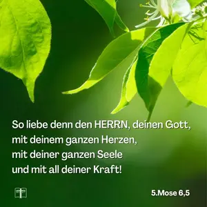 Gottes Gebote schenken Schutz, Versorgung und Freude, wenn sie von Herzen aus befolgt werden. Mit Missachten erlauben wir Satans Herrschaft, uns wieder zu beeinflussen. Unmöglich?
