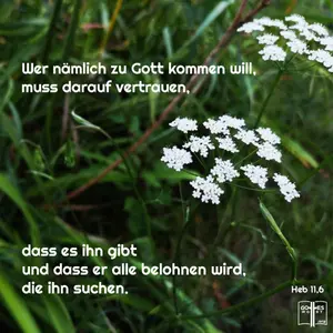Die christliche Glaubensrichtung untermauert das Fundament des christlichen Lebens. Es weist auf Gottes Eid, die Bibel, in der Gott seine Versorgung völlig erklärt. Wieso erleben viele so eine wackelige Existenz?