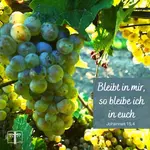 Vorteile ergeben sich meistens aus der Anerkennung von Leistungen. Wenn es aber unerwartet und sogar durch eine Einladung geschieht, dann ist es wirklich ein Gewinn. Wie geht man mit solcher Einschätzung um?