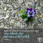 Warum ist der Glaube, der in Christus, den Aposteln und der Frühkirche war, heute nicht mehr so offensichtlich? Die Ursache liegt in der fehlenden Bereitschaft, das zu tun, was Gott befohlen hat. 