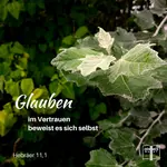 Nichts ist wichtiger im Leben eines Menschen als die innere Überzeugung des Glaubens, womit Jesus Christus, der Sohn Gottes, als Herr und Heiland anerkannt wird. Wie jeder damit handelt ist entscheidend für den Tag an dem Jesus zurückkehrt.