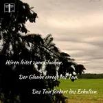 Unser Leben wird von dem beeinflusst, was wir hören und glauben, und durch unsere Bemühung es zum Erfolg umzusetzen. Gottes Plan liegt vor uns, doch wir entscheiden, ob wir ihn befolgen wollen.