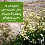 Gott prophezeite Heilung und offenbarte sie durch Jesus Christus, der sie mit seiner Vollmacht den Versöhnten verlieh, um sie fortzusetzen. Heute noch ist der Tag des Heils vorhanden.