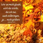 Veränderungen sind nötig, wenn das, was bisher getan wurde, keine Verbesserungen erzeugt. Alles, was das Leben betrifft, wurde entweder von Bemühung, Gleichgültigkeit oder Vernachlässigung beeinflusst.