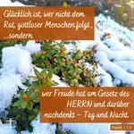 Glücklich ist, wer nicht dem Rat gottloser Menschen folgt, Psalm 1,1-2