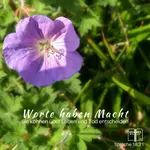 Gesprochene Worte erweisen die Identität der Wiedergeborenen. Sie sind positiv, entschlossen und autoritativ, ohne Mitgefühl und Freundlichkeit zu vernachlässigen. Ist dies erreichbar?