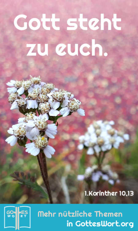 ✚ Gott steht zu euch. 1.Korinther 10,13
Lese: https://www.gottes-wort.com/daemonen.html
#bibel #jesuschristus #daemonen #gotteswort