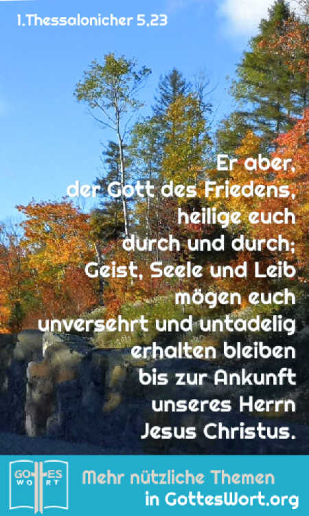 Er aber, der Gott des Friedens, heilige euch durch und durch; Geist, Seele und Leib mögen euch unversehrt und ... 1.Thes 5,23
https://www.gottes-wort.com/was-ist-meine-seele.html