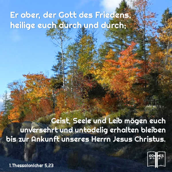 Er aber, der Gott des Friedens, heilige euch durch und durch; Geist, Seele und Leib mögen euch unversehrt... 1.Thes 5,23
https://www.gottes-wort.com/was-ist-meine-seele.html