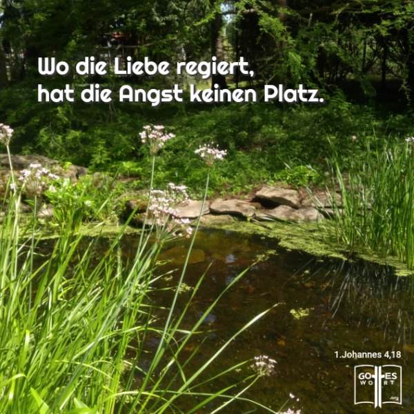 ✚ 1.Johannes 4,18 Keine Angst!!! HALLELUJA!
https://www.gottes-wort.com/angst-vor-der-angst.html
#gotteswort #jesuschristus #angst #liebe