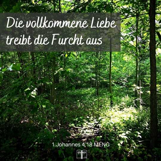 Die vollkommene Liebe treibt die Furcht aus, 1.Johannes 4,18 Die vollkommene Liebe treibt die Furcht aus, 1.Johannes 4,18