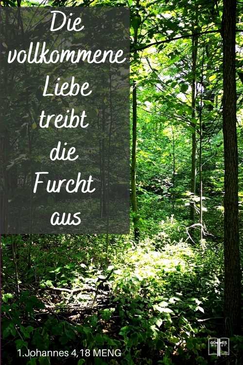 Angst vor der Angst, eine der mehreren Waffen mit denen der Teufel die menschliche Seele angreift, kann überwunden werden. Aber es erfordert die bedingte Versöhnung mit Gott durch Jesus Christus.