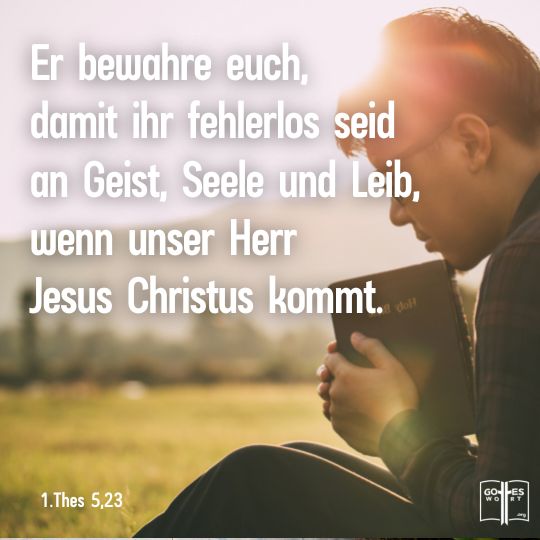 Gott und sein Wort als Prophetie