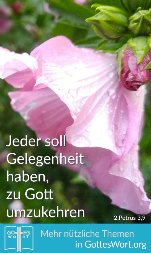 ✚ Die Liebe des himmlischen Vaters ist unbegrenzt! Von dieser Liebe muss doch anderen erzählt werden, die gute Botschaft des HERRN! 
lese www.gottes-wort.com/geboren.html
#gotteswort #gutebotschaft