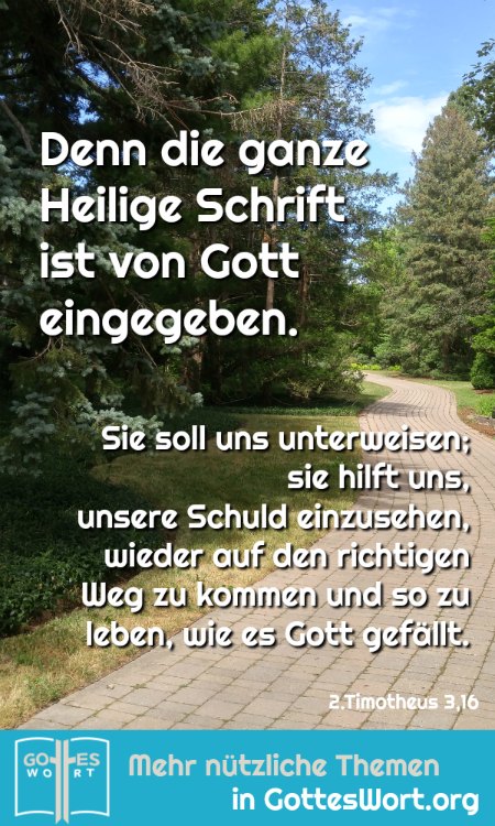 ✚ Denn die ganze Heilige Schrift ist von Gott eingegeben. ... 2.Timotheus 3,16
https://www.gottes-wort.com/andachten.html
#bibellesen #bibel #gotteswort #botschaft #heiligeschrift