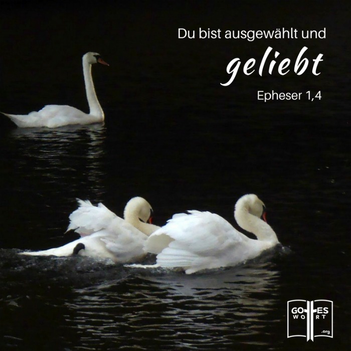 ✚ Geboren für so einen Tag: Als Christen leben wir nicht für uns alleine sondern auch für unsere Mitmenschen.
Epheser 1,4
https://www.gottes-wort.com/geboren.html
#geboren #gotteswort