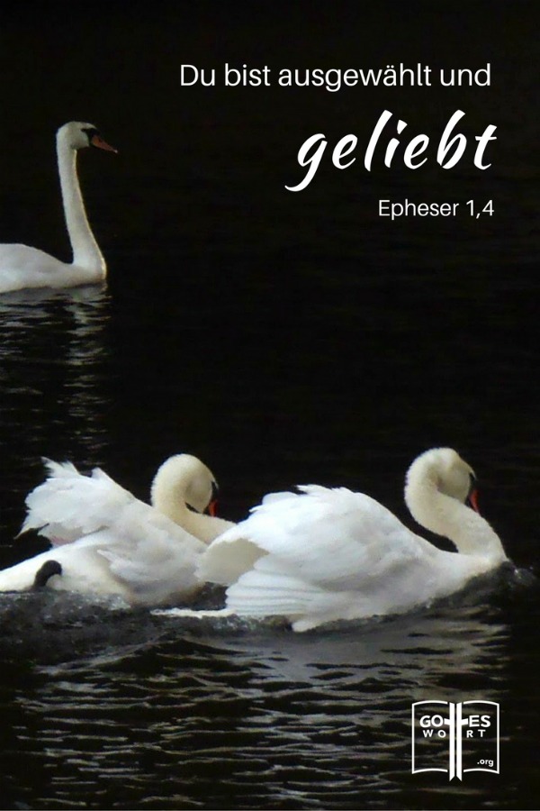 ✚ Geboren für so einen Tag: Als Christen leben wir nicht für uns alleine sondern auch für unsere Mitmenschen.
Epheser 1,4
https://www.gottes-wort.com/geboren.html
#geboren #gotteswort