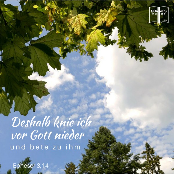 Darum knie ich nieder vor Gott, dem Vater, und bete ihn an, ihn, dem alle Geschöpfe im Himmel und auf der Erde ihr Leben verdanken..Eph 3,14-15 #gebete
https://www.gottes-wort.com/gebete.html