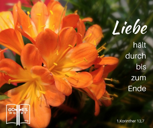 Liebe nimmt alles auf sich, sie verliert nie den Glauben oder die Hoffnung und hält durch bis zum Ende. 
1.Korinther 13,7
#ehepartner #gotteswort
https://www.gottes-wort.com/ehepartner.html