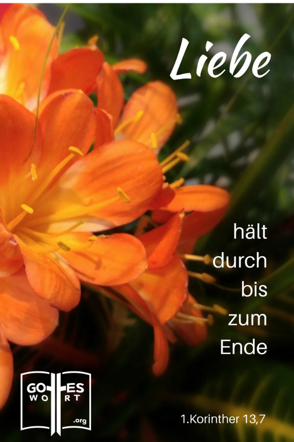 Liebe nimmt alles auf sich, sie verliert nie den Glauben oder die Hoffnung und hält durch bis zum Ende. 
1.Korinther 13,7
#ehepartner #gotteswort
https://www.gottes-wort.com/ehepartner.html