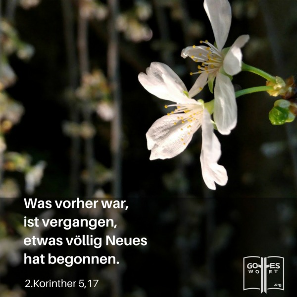 Etwas neues wurde angenommen...davon schrieb der Paulus in 2.Korinther 5,17 ... Etwas neues wurde angenommen...davon schrieb der Paulus in 2.Korinther 5,17 ...