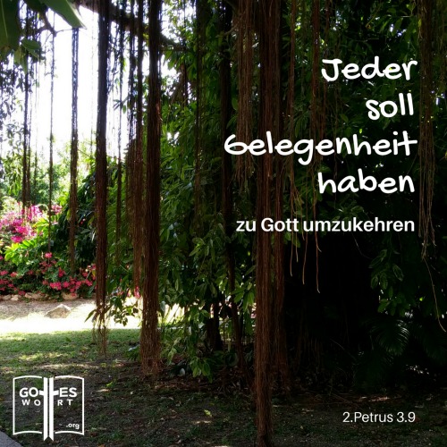 Aber er hat Geduld mit euch und will nicht, dass auch nur einer von euch verloren geht. Jeder soll Gelegenheit haben, zu Gott umzukehren.
2.Petrus 3,9
Holguin, Kuba Aber er hat Geduld mit euch und will nicht, dass auch nur einer von euch verloren geht. Jeder soll Gelegenheit haben, zu Gott umzukehren.
2.Petrus 3,9
Holguin, Kuba