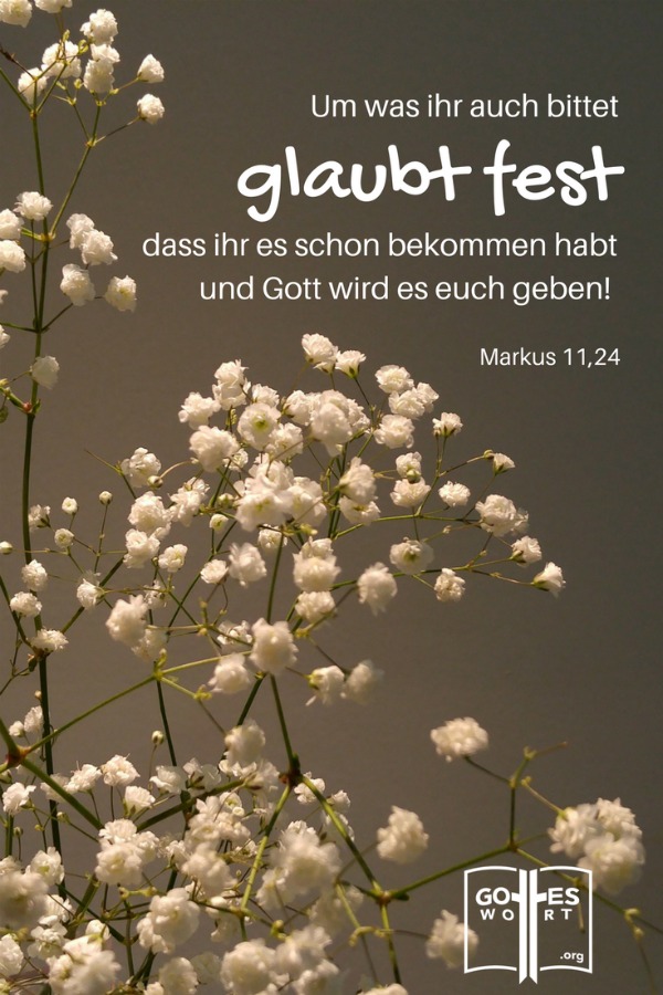 Was man glaubensvoll und schriftgemäß ausspreche, wird man erhalten. Gottes Zusagen sind für uns erreichbar im Namen Jesus. Mehr: https://www.gottes-wort.com/aussagen.html
#aussagen #gotteswort