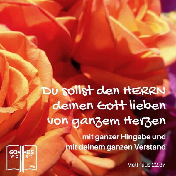 ✚  Die Botschaft: Du sollst den Herrn, deinen Gott, lieben, … mit deinem ganzen Herzen, Seele und Denken. Mat 22,37
https://www.gottes-wort.com/botschaft.html
#gotteswort #botschaft #leiben