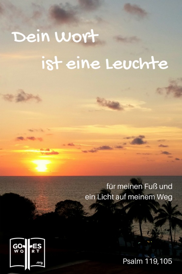 ✚ Dein Wort ist wie ein Licht in der Nacht, das meinen Weg erleuchtet.  Psalm 119,105
Lese: https://www.gottes-wort.com/berichte.html
#psalm #deinwort #licht