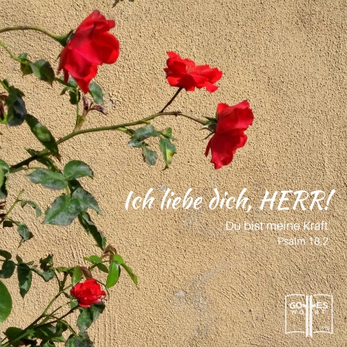 ✚ Die Würdigkeit Gottes: Ich liebe dich, HERR!
Psalm 18,2
https://www.gottes-wort.com/wuerdigkeit.html
#wuerdigkeit #eigenschaften #gottes