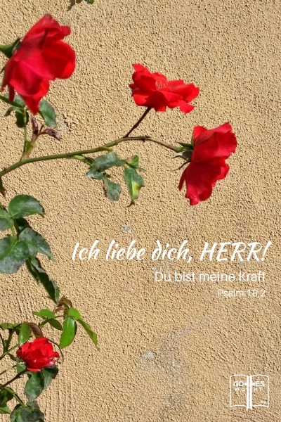 ✚ Die Würdigkeit Gottes: Ich liebe dich, HERR!
Psalm 18,2
https://www.gottes-wort.com/wuerdigkeit.html
#wuerdigkeit #eigenschaften #gottes