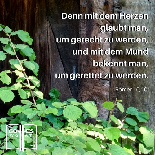 ✚ Denn mit dem Herzen glaubt man, ... und mit dem Mund bekennt man, um gerettet zu werden. Römer 10,10
Lese: https://www.gottes-wort.com/ein-glaube.html
#glaube #jesuschristus #ewigesleben