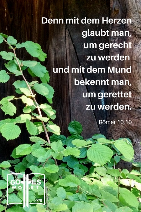 ✚ Denn mit dem Herzen glaubt man, ... und mit dem Mund bekennt man, um gerettet zu werden. Römer 10,10
Lese: https://www.gottes-wort.com/ein-glaube.html
#glaube #jesuschristus #ewigesleben