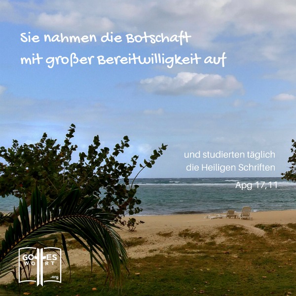 ✚ Sie nahmen die Botschaft mit großer Bereitwilligkeit auf und studierten täglich ... Apg 17,11 
https://www.gottes-wort.com/andachten.html
#bibellesen #bibel #gotteswort #botschaft