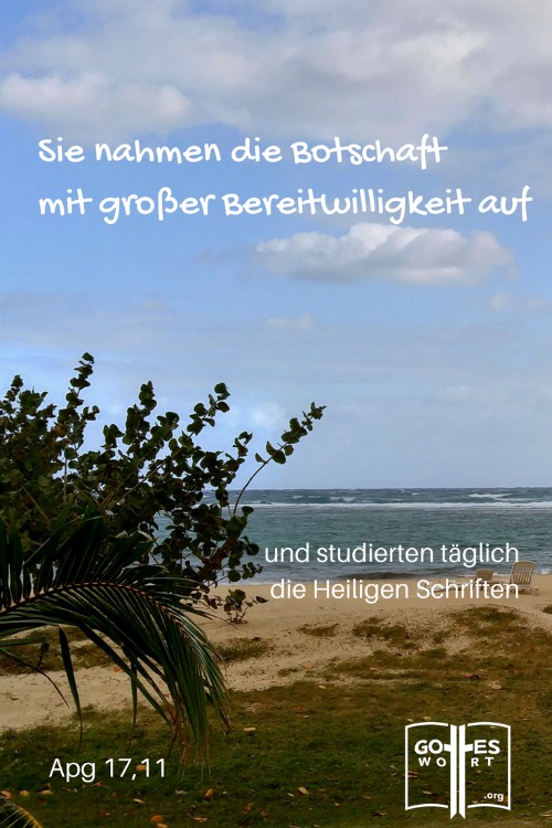 ✚ Sie nahmen die Botschaft mit großer Bereitwilligkeit auf und studierten täglich ... Apg 17,11 
https://www.gottes-wort.com/andachten.html
#bibellesen #bibel #gotteswort #botschaft