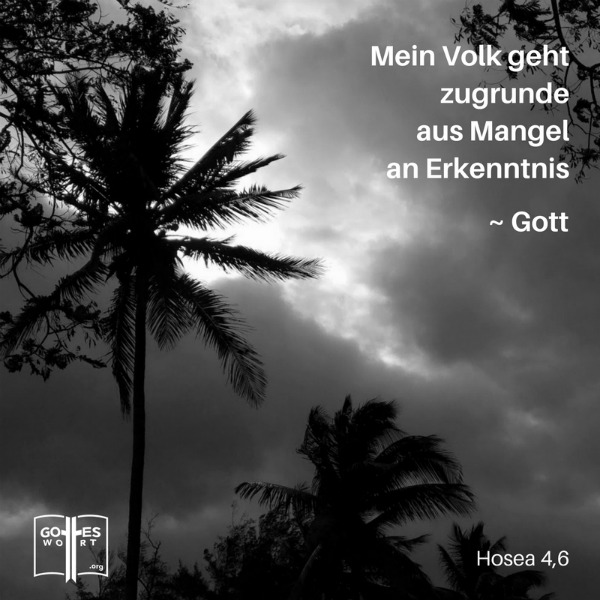 Mein Volk läuft ins Verderben weil es den richtigen Weg nicht kennt, Hosea 4,6 HFA.
Holguin, Kuba