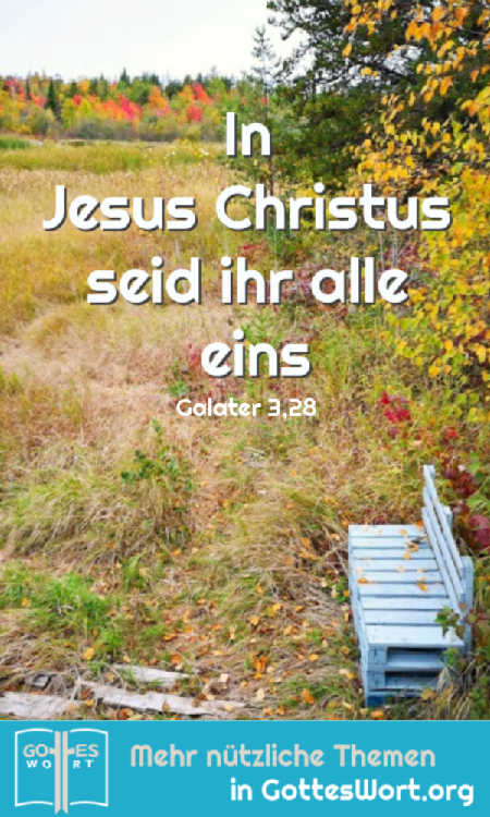 ✚ In Jesus Christus seid ihr alle eins...Als seine Erben bekommt ihr alles, was Gott ihm zugesagt hat. Galater 3,28-29
https://www.gottes-wort.com/in-christus.html
#inchristus #heiland