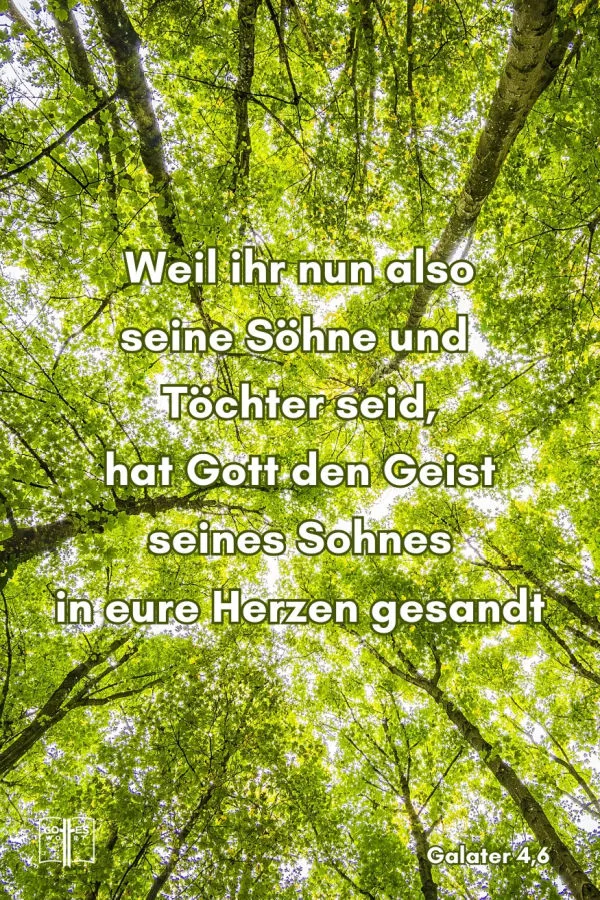 Weil ihr nun also seine Söhne und Töchter seid, hat Gott den Geist seines Sohnes in eure Herzen gesandt, den Geist, der ´in uns betet und` »Abba, Vater!« ruft, Galater 4,6