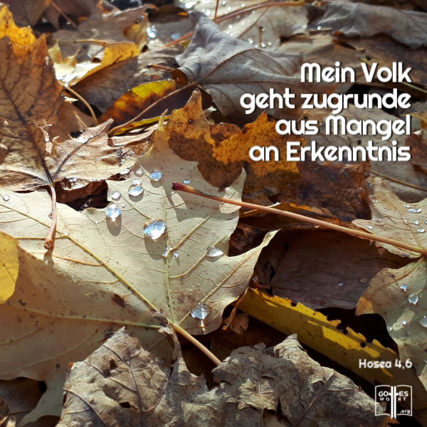 ✚ Mein Volk geht zugrunde aus Mangel an Erkenntnis, Hosea 4,6
Lese: https://www.gottes-wort.com/daemonen.html
#bibel #jesuschristus #daemonen #gotteswort ✚ Mein Volk geht zugrunde aus Mangel an Erkenntnis, Hosea 4,6
Lese: https://www.gottes-wort.com/daemonen.html
#bibel #jesuschristus #daemonen #gotteswort