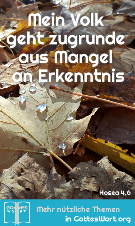 ✚ Mein Volk geht zugrunde aus Mangel an Erkenntnis, Hosea 4,6
Lese: https://www.gottes-wort.com/daemonen.html
#bibel #jesuschristus #daemonen #gotteswort
