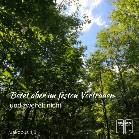 Betet aber in grosser Zuversicht, und zweifelt nicht; denn wer zweifelt, gleicht den Wellen im Meer,.. Jacobus 1,6 #beten #gotteswort
 https://www.gottes-wort.com/gottvertrauen.html