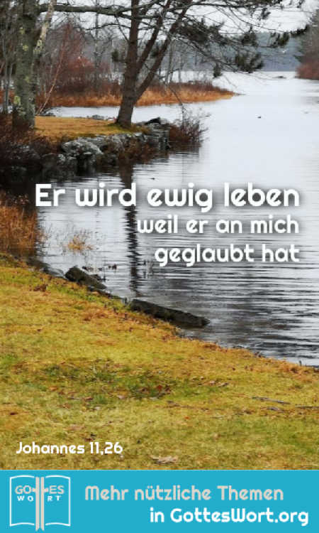 ✚ Solange wir keine Beschwerden haben, sind wir sind in guter Standhaftigkeit. Lass es mal stürmisch werden. Was macht man dann?
https://www.gottes-wort.com/sturm.html
#probleme #hilfe