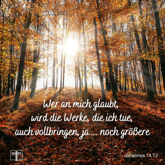 Wahrlich, wahrlich ich sage euch: Wer an mich glaubt, wird die Werke, die ich tue, auch vollbringen, ja er wird noch größere als diese vollbringen, Johannes 14,12