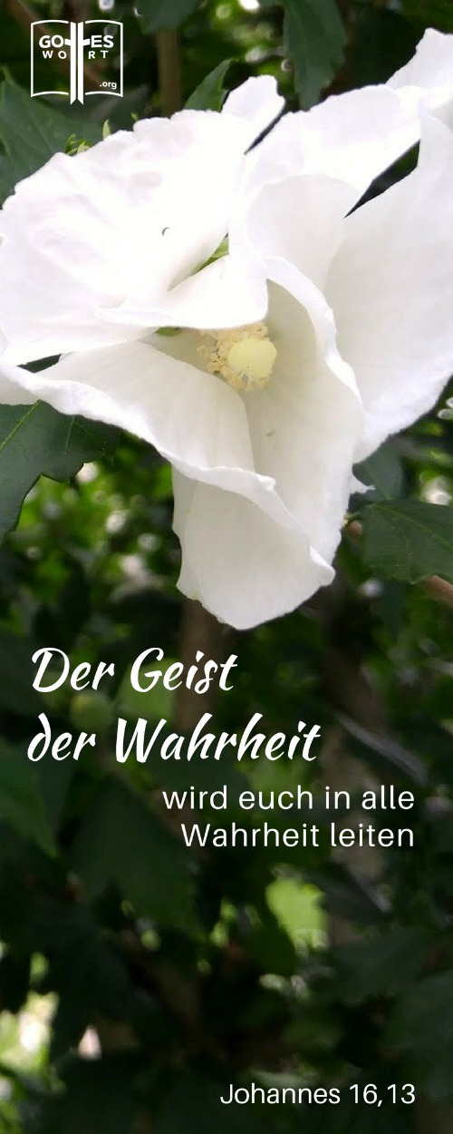 Der Geist der Wahrheit ... Johannes 16,13
Lese: https://www.gottes-wort.com/rotes-licht.html