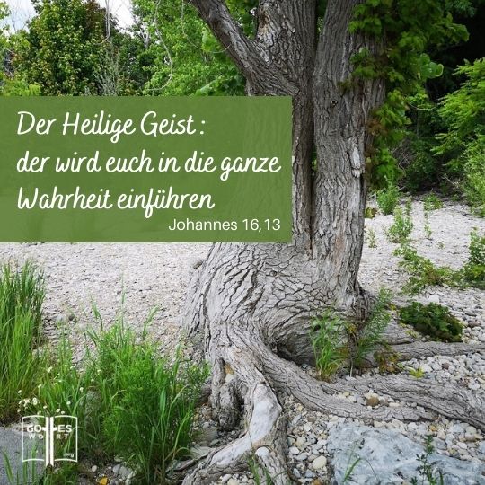 Wenn aber jener gekommen ist, der Geist der Wahrheit, der wird euch in die ganze Wahrheit einführen, Johannes 16,13