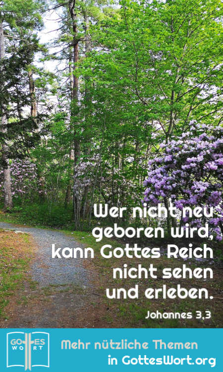 Wer nicht neu geboren wird, kann Gottes Reich nicht sehen und erleben.
Johannes 3,3
Lese: https://www.gottes-wort.com/heilungsprozess.html
#neugeboren #gotteswort #bibel