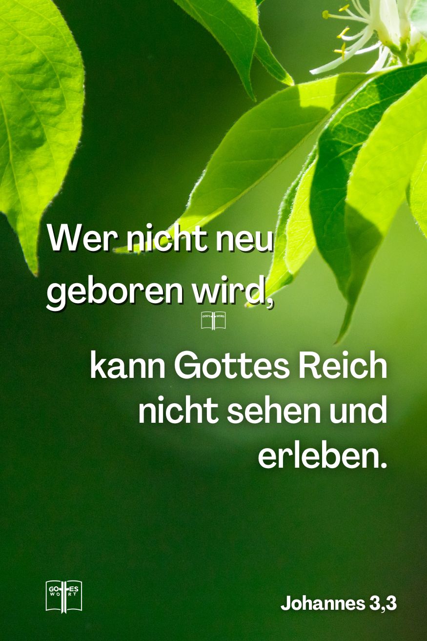 Wenn jemand nicht von Neuem geboren wird, so kann er das Reich Gottes nicht sehen! Johannes 3,3